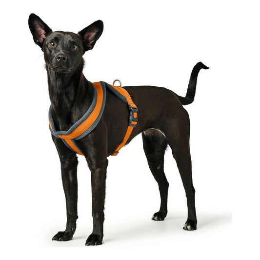 Koiran valjaat Hunter London Comfort 39-47 cm Oranssi XS/S