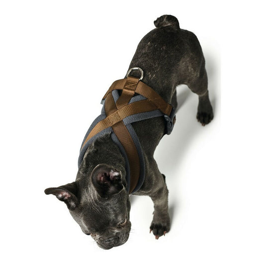 Koiran valjaat Hunter London Comfort 48-56 cm Ruskea Koko S/M