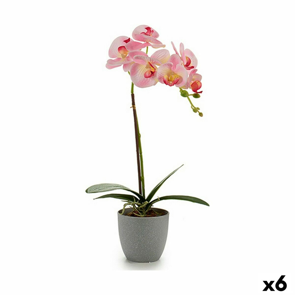 Koristekasvi Orkidea Muovinen 13 x 39 x 22 cm (6 osaa)
